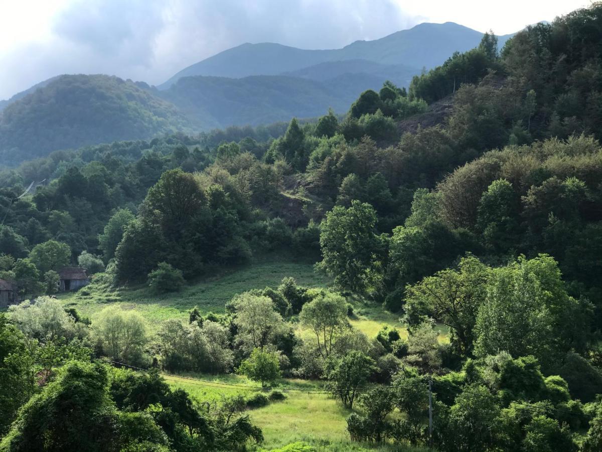 Aphrodite Hills Apartments-Stara Planina Crni Vrh المظهر الخارجي الصورة