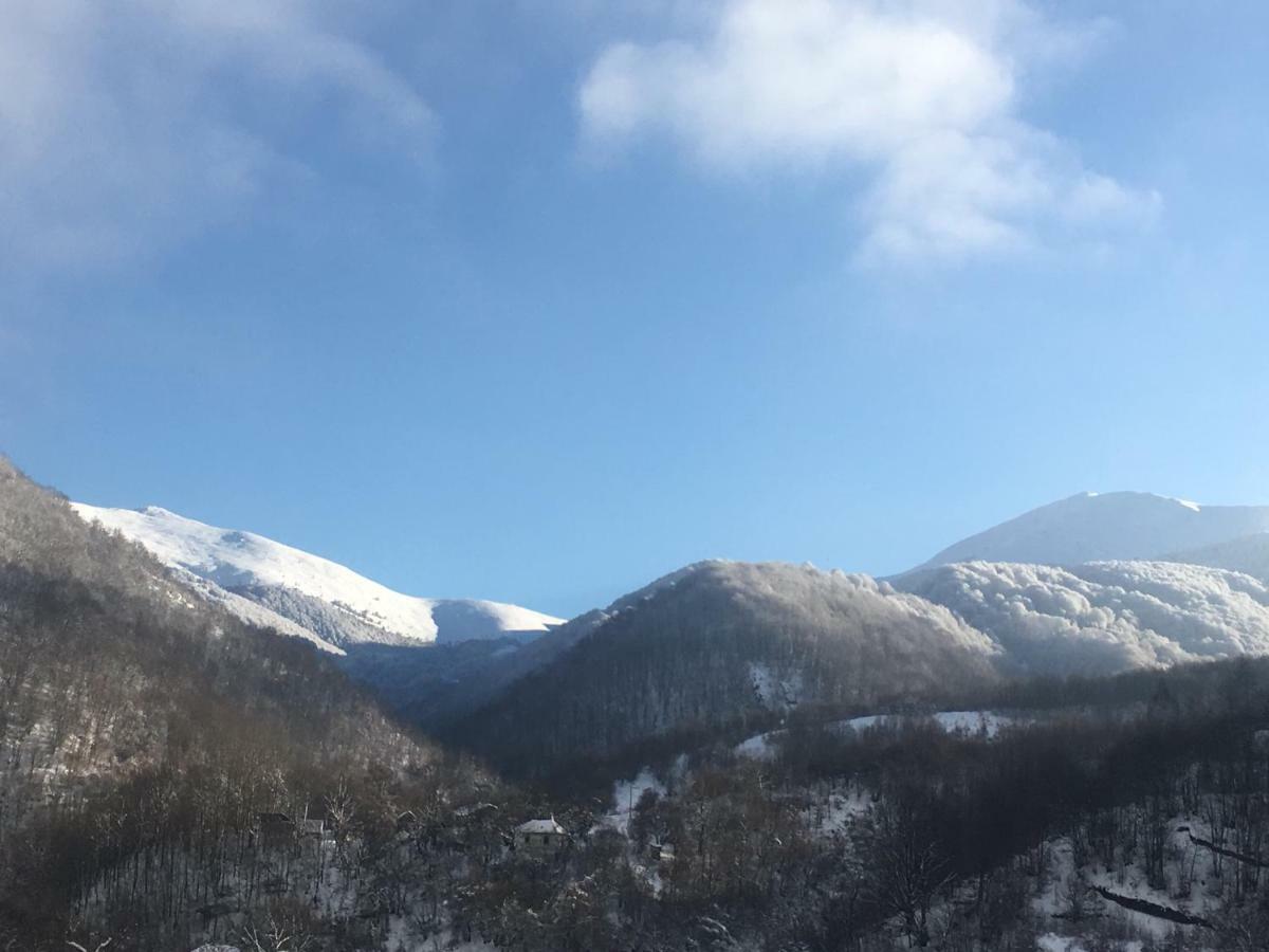 Aphrodite Hills Apartments-Stara Planina Crni Vrh المظهر الخارجي الصورة